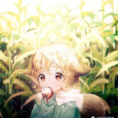 中国投资者被假皇室骗1800万美元